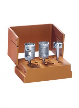 Bone Graft Transfer System